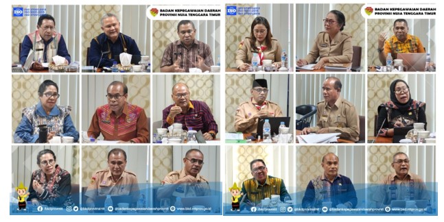 Pemetaan (Job Fit) JPTP - Provinsi NTT1