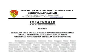 Penetapan Hasil Sanggah Seleksi Administrasi PPPK Pemerintah Provinsi Nusa Tenggara Timur Tahun 2023
