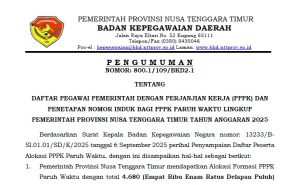 Daftar Peserta Alokasi PPPK Paruh Waktu & Penetapan Nomor Induk Bagi PPPK Paruh Waktu Lingkup Pemprov NTT TA 2025